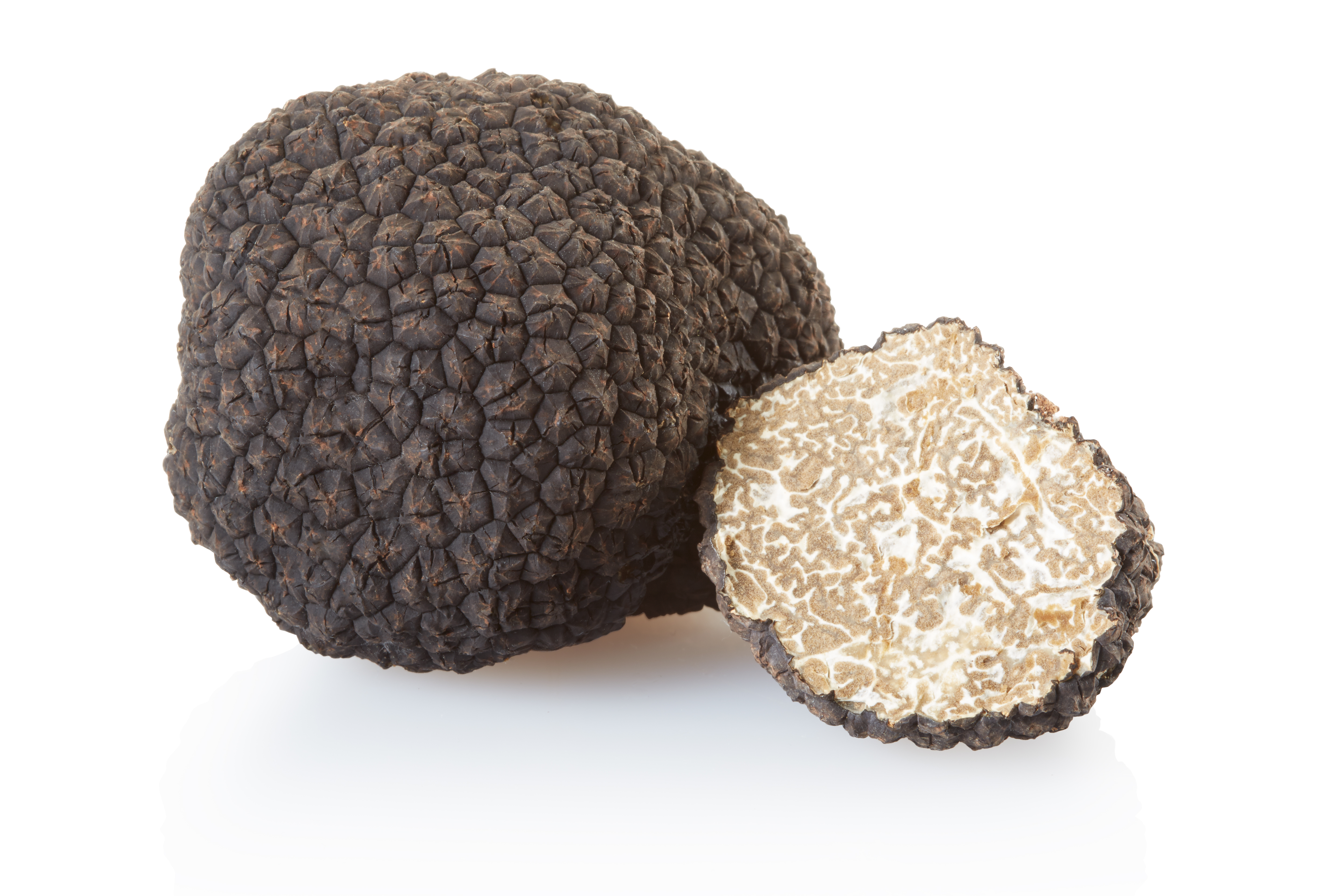 Fresh Black Burgundy Truffle / 2oz